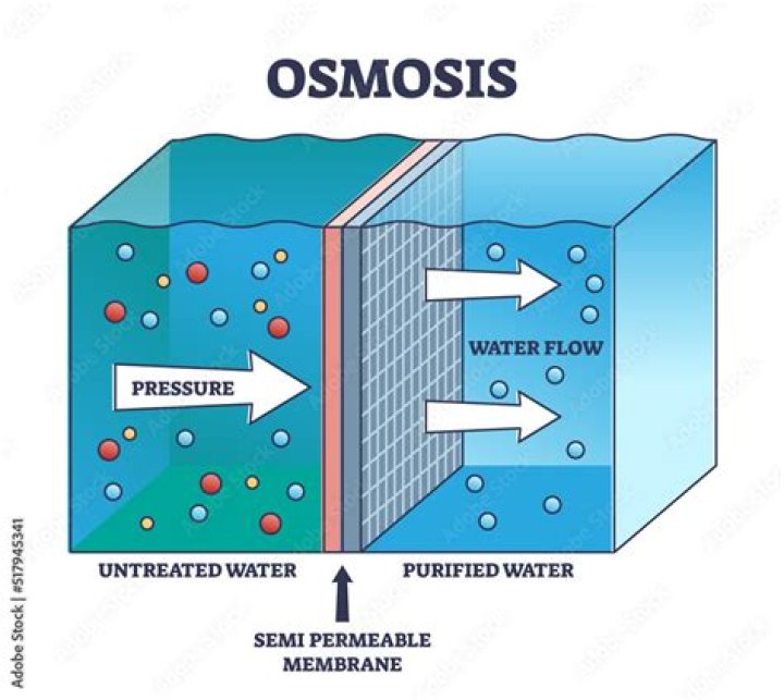 How does osmotic pressure relate to Osmosis