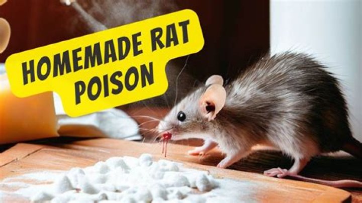 How does rat poison kill