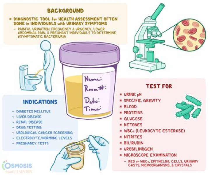 How does urine destroyer work?
