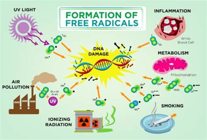 How free radicals are formed?