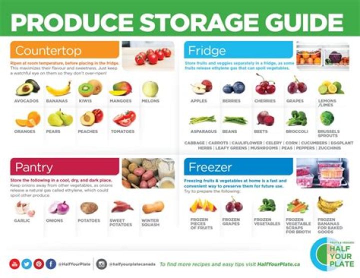 How fresh vegetables should be stored?