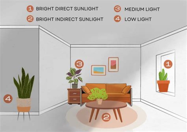 How hot is direct sunlight?