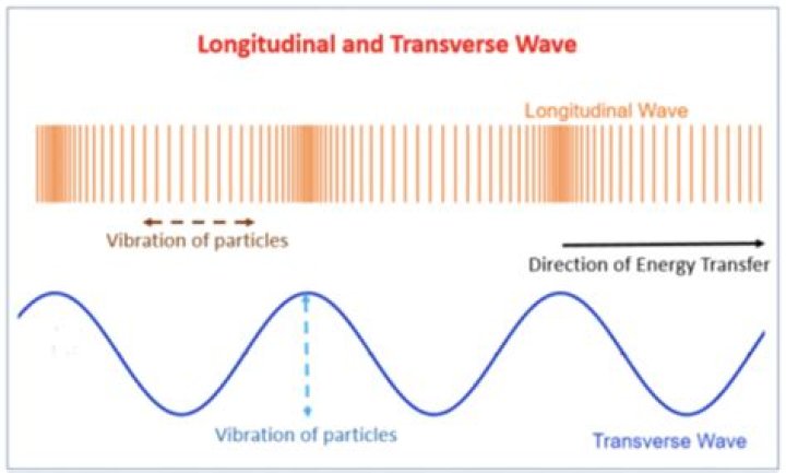 How is energy transferred in a transverse wave