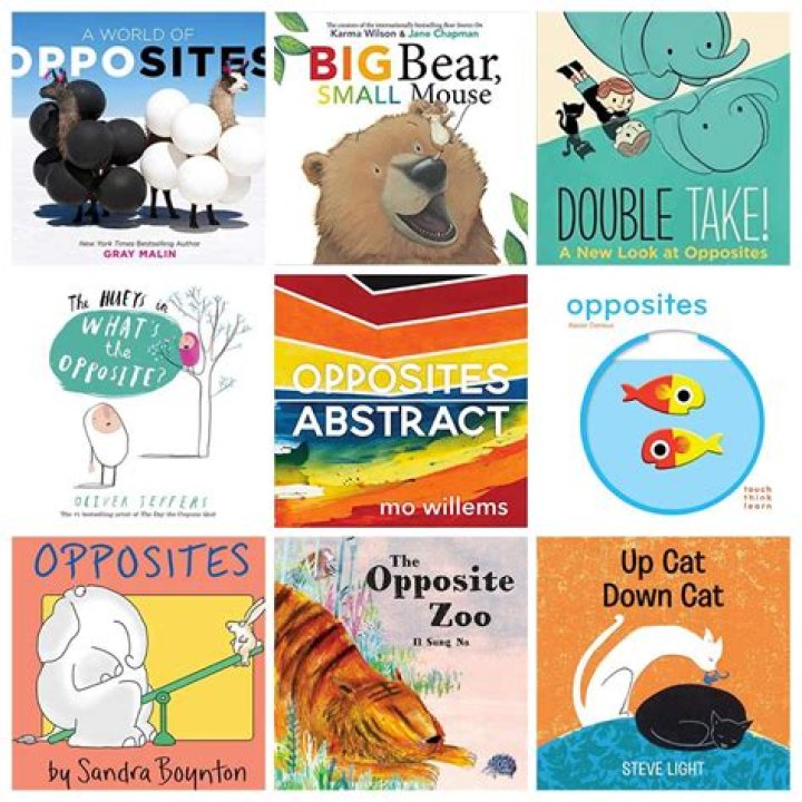 How long are children's picture books?