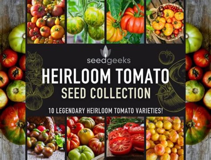 How long do heirloom tomatoes last?