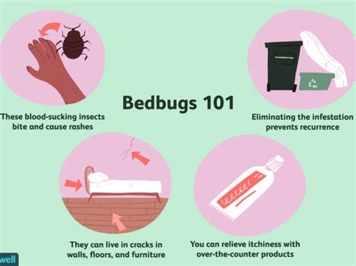 How long does bed bug bites last