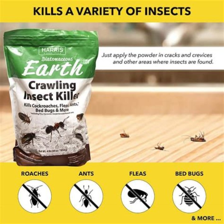 How long does diatomaceous earth take to kill cockroaches?