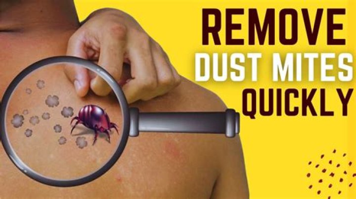 How long does it take Bravecto to kill mites