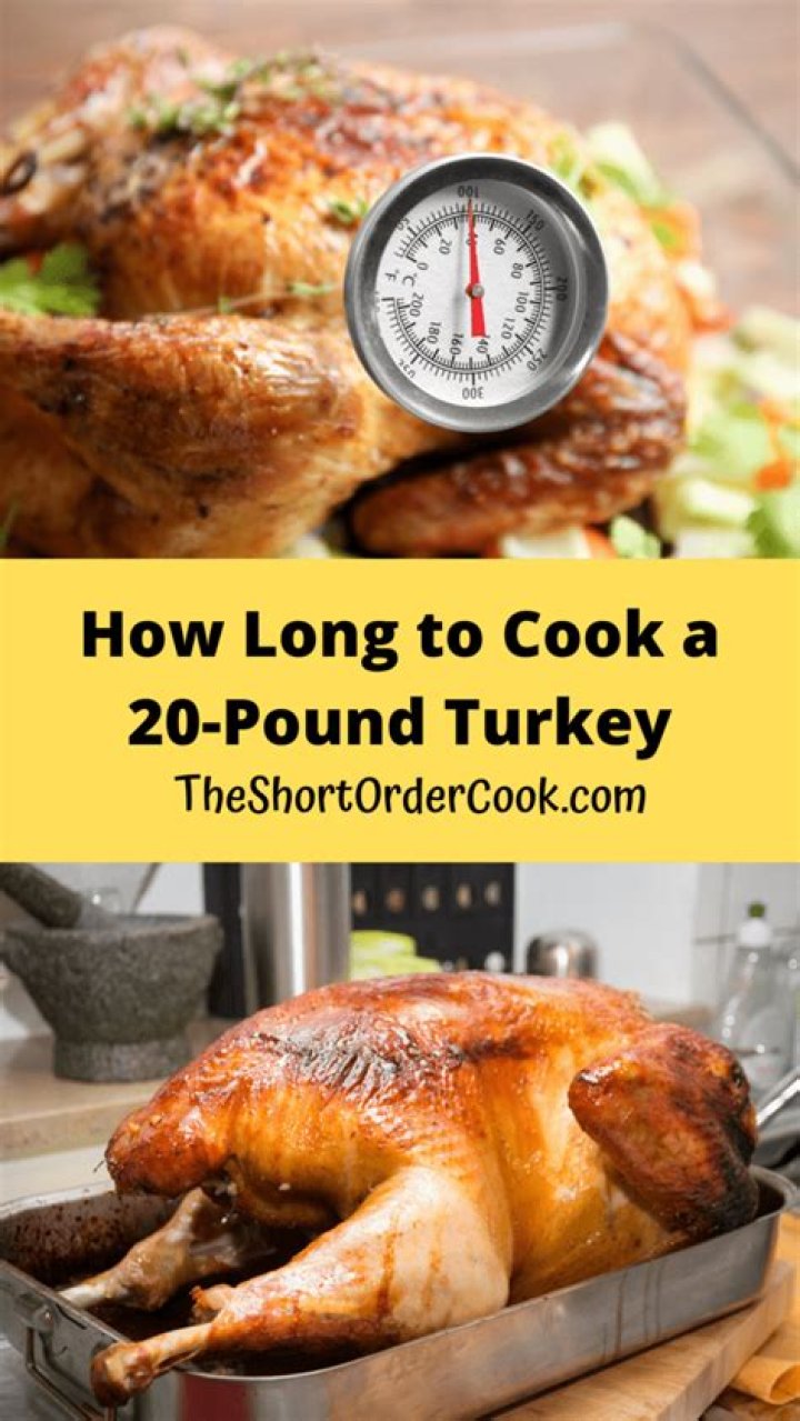 How long does it take to cook a 20 lb turkey in a bag?