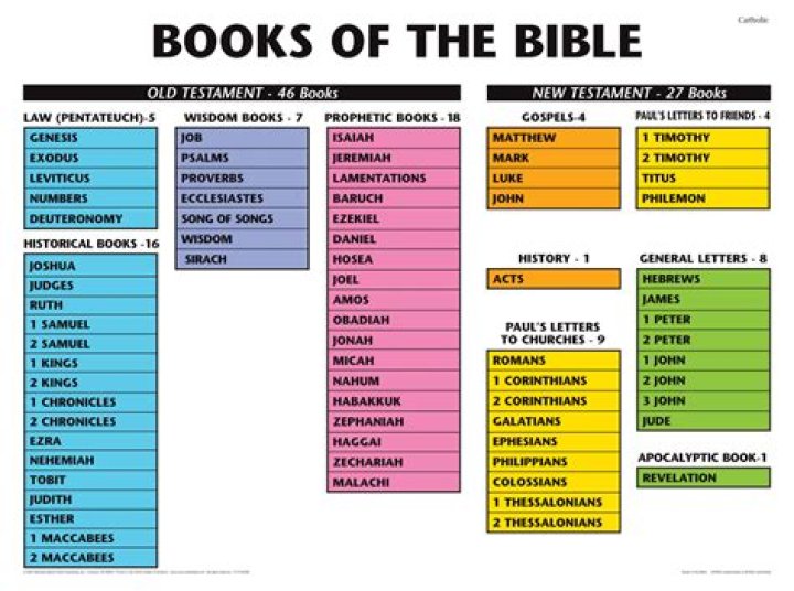 How many books are in the Mormon Bible?