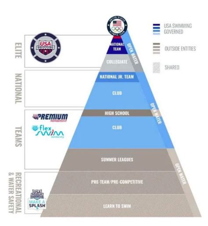 How many Division 1 swimming scholarships are there?