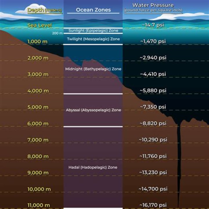 How many feet underwater is 20 bars?