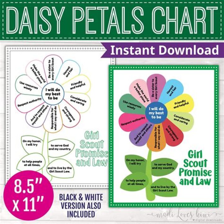 How many Girl Scout Daisy petals are there?