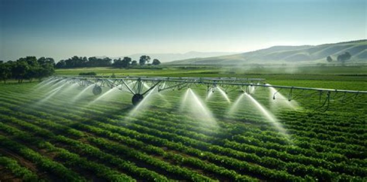How many licensed irrigators are in Texas