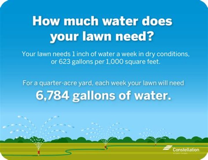 How many mm of water does a lawn need