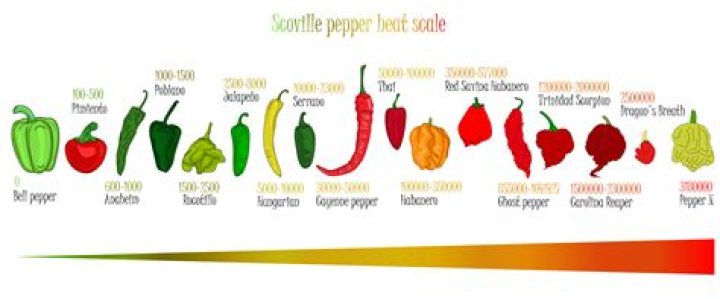 How many serrano peppers are in a pound?