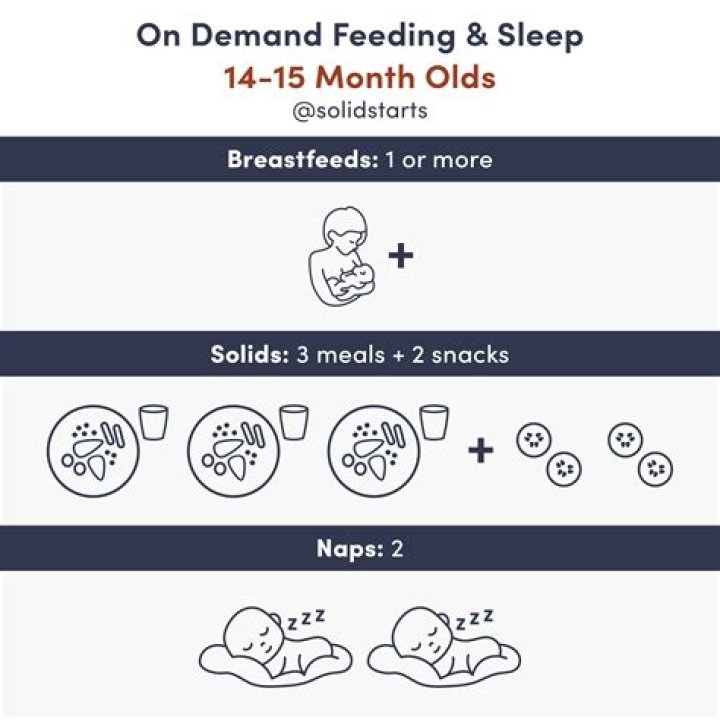 How many times a day should a baby feed?