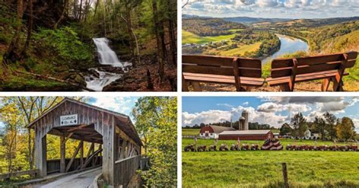 How many townships are in Bradford County PA?