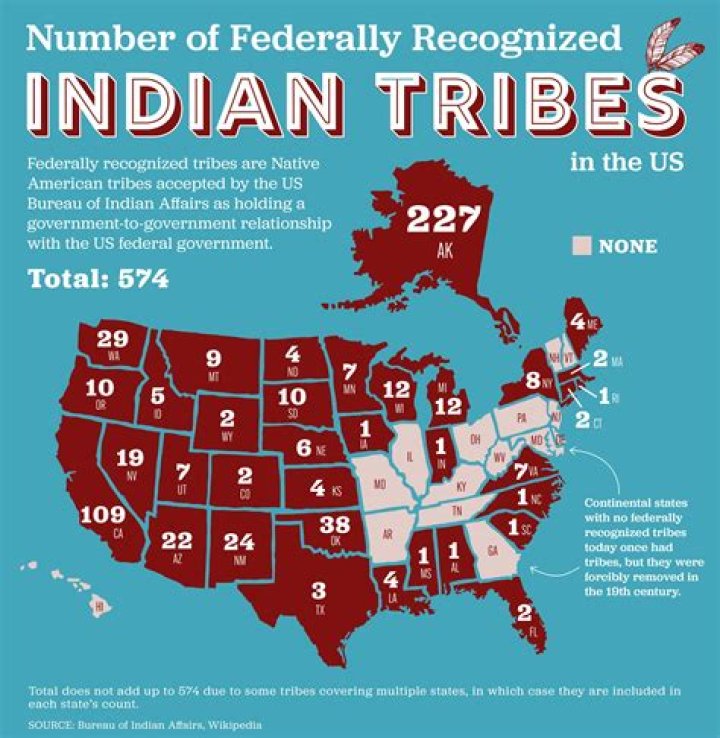 How many tribes are there in UAE?