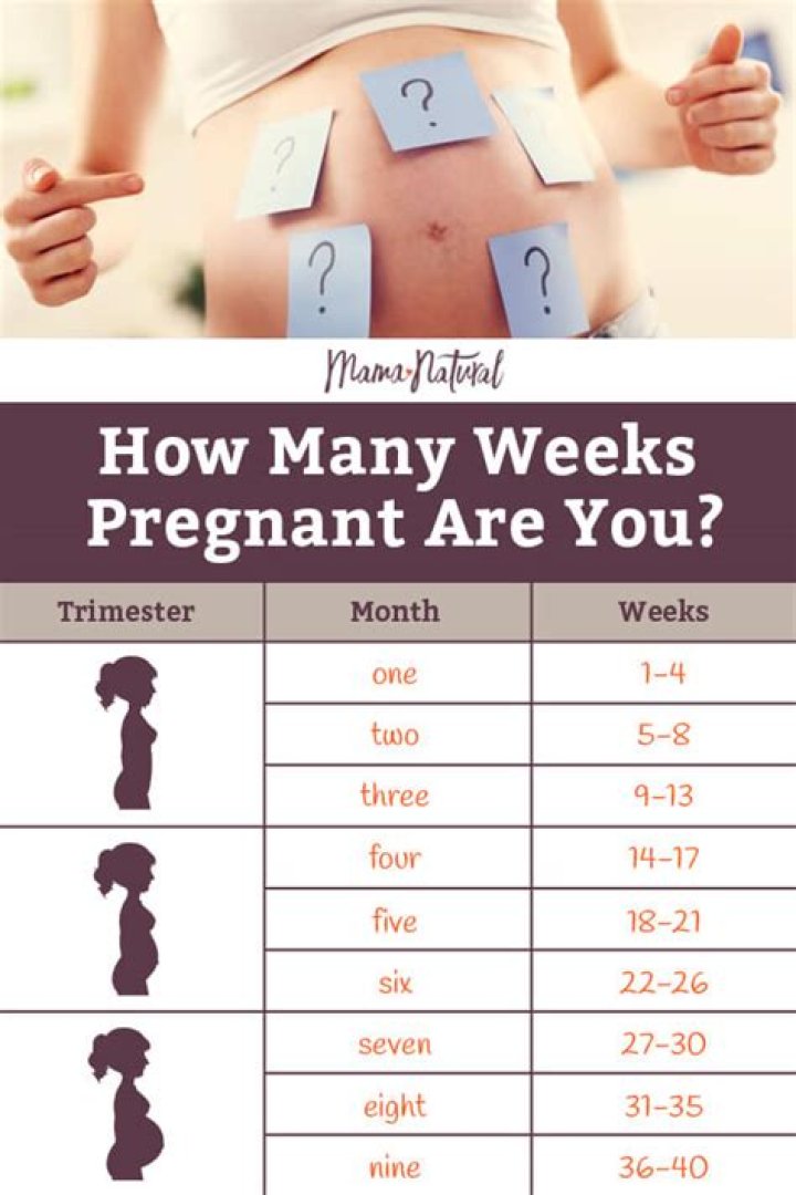 How many weeks are you when your 3 months?