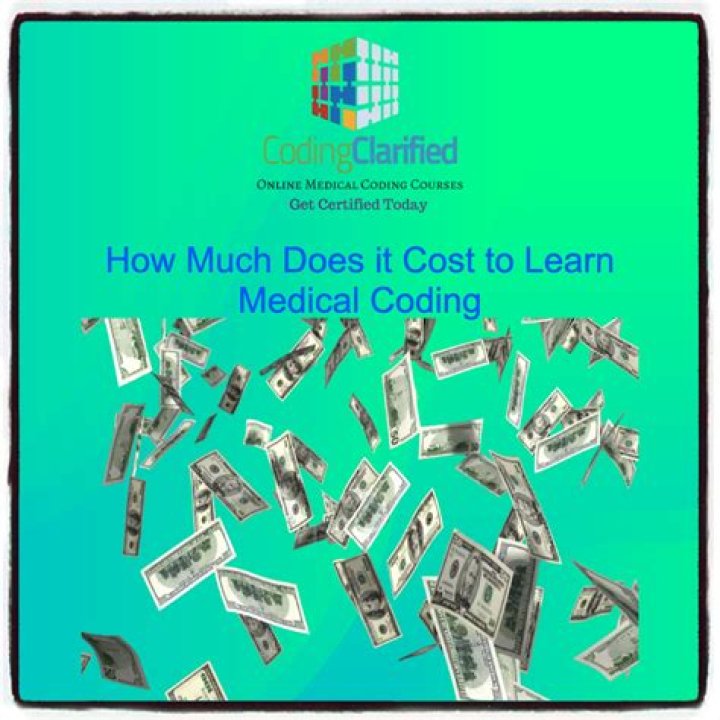 How much does coding cost?