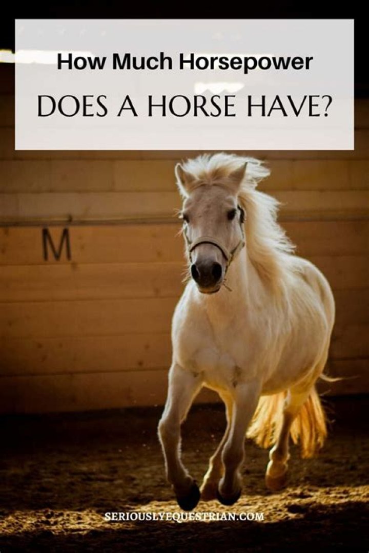 How much horsepower does a 4.7 Magnum have?