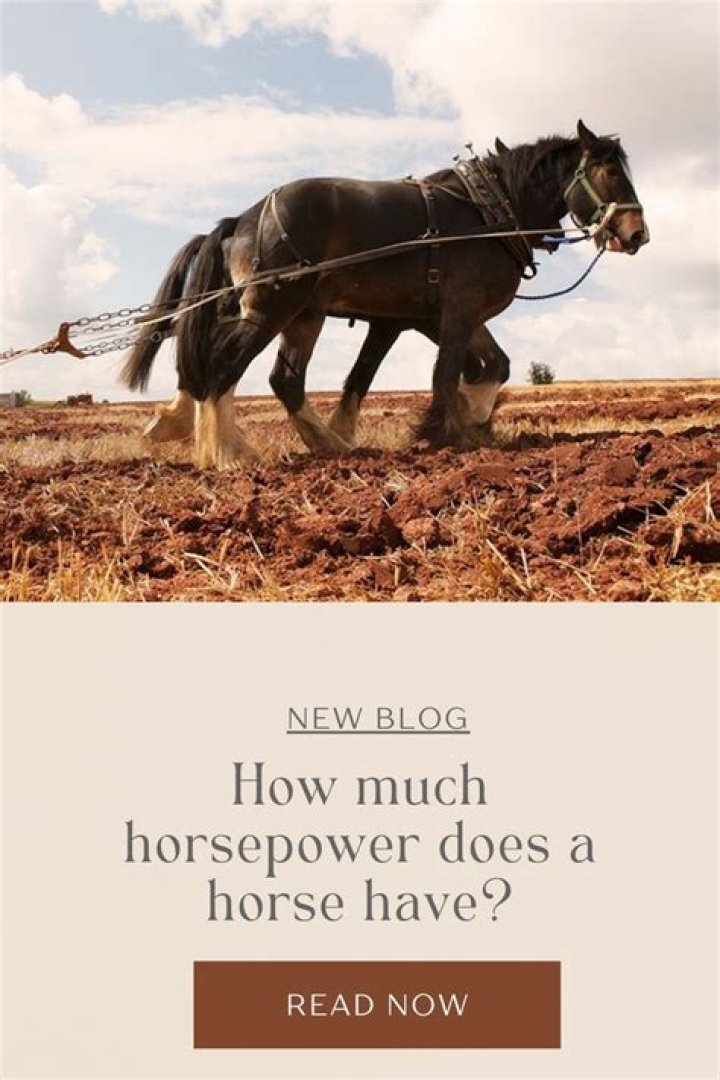 How much horsepower does a Borla Cat Back add?