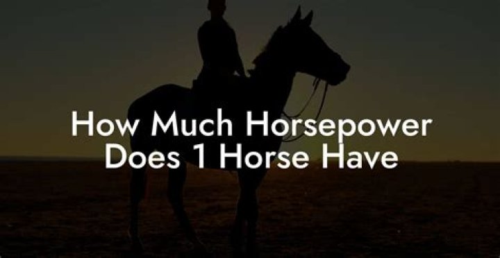 How much horsepower does a CAT 3116 have?