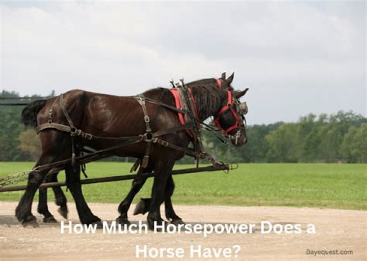 How much horsepower does a Mopar 383 have?