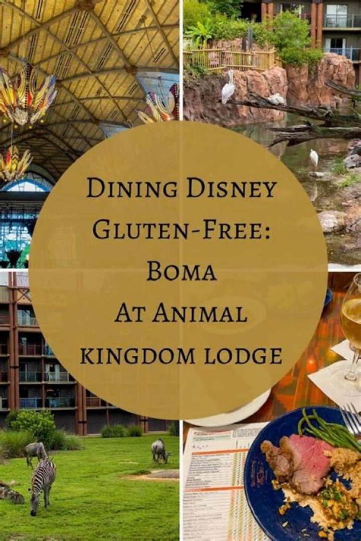 How much is breakfast at Boma Animal Kingdom Lodge?