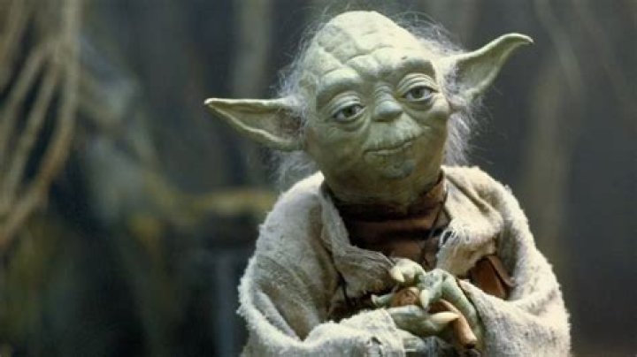 How old is Yoda now?