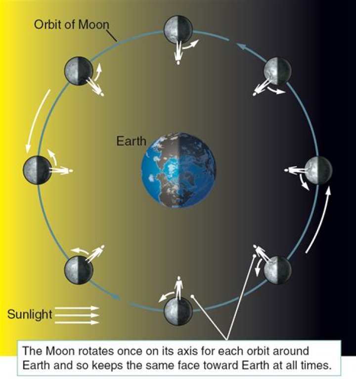 How the Earth rotates around the Sun and moon?