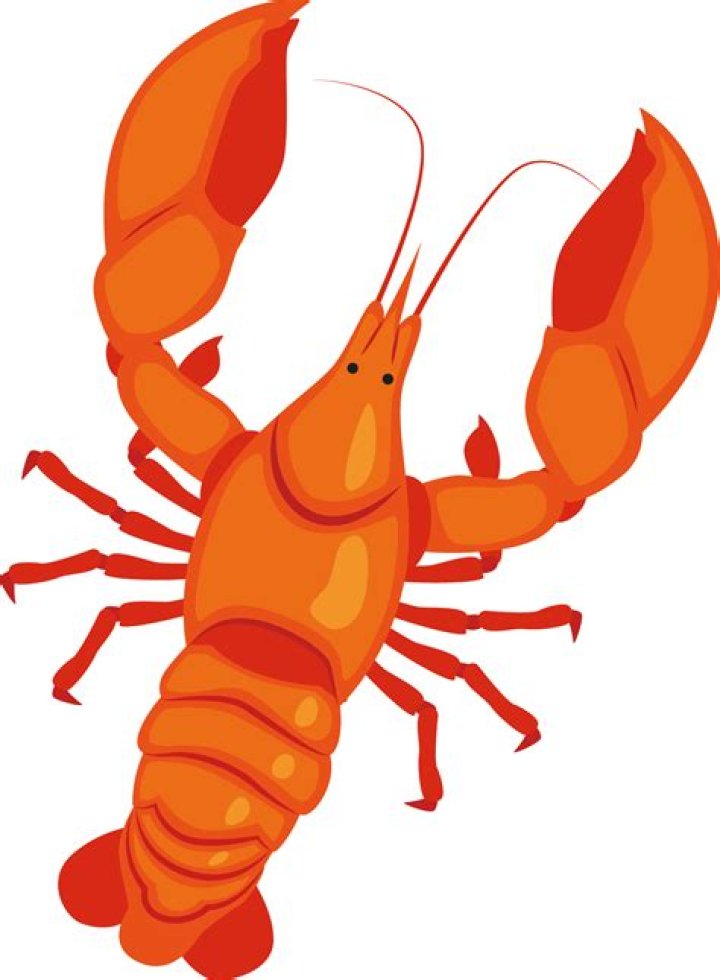 Is a lobster a crab?