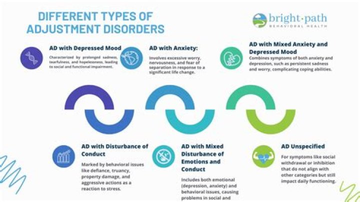 Is adjustment disorder in the DSM?