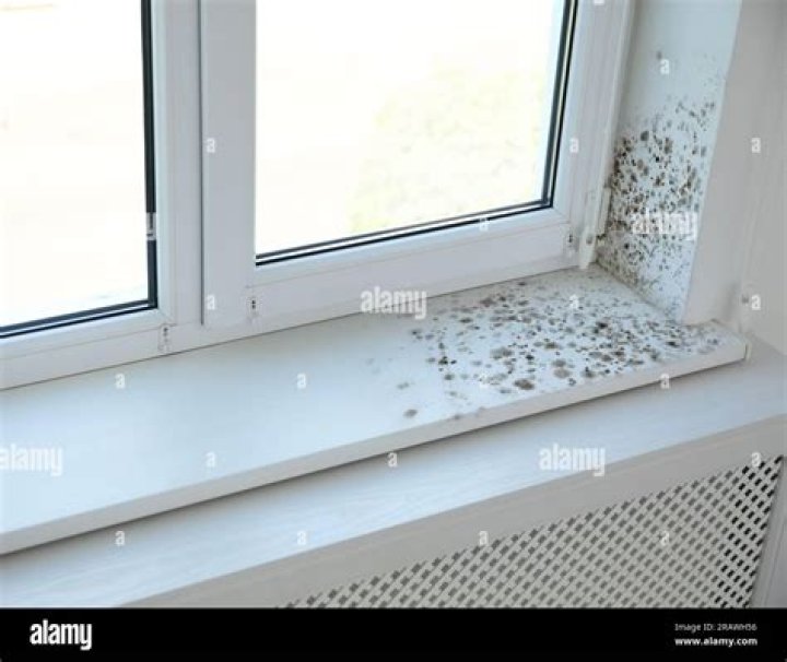 Is black mold on window sills dangerous?