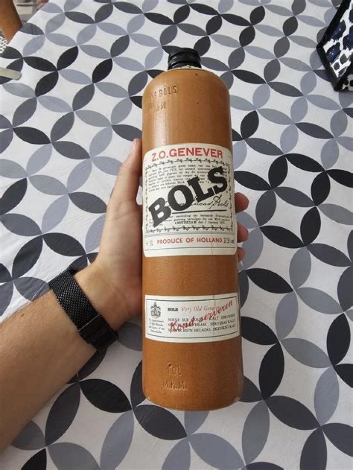 Is Bols Genever a gin