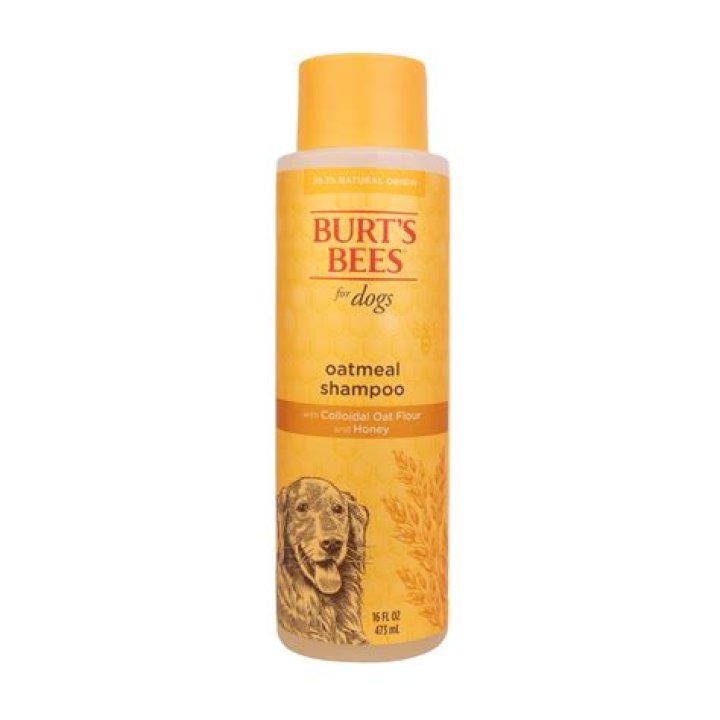 Is Burts Bees shampoo good for dogs