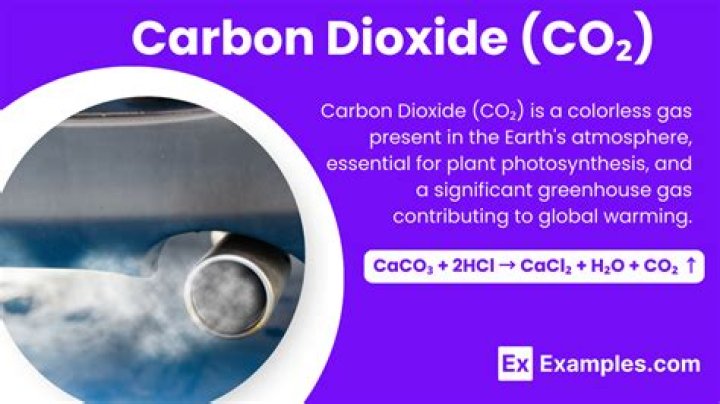 Is carbon dioxide organic? | ContextResponse.com