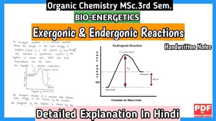 Is catabolism endergonic or exergonic?