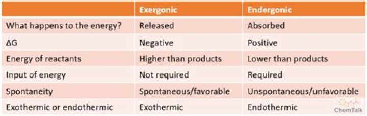 Is digestion Exergonic or Endergonic