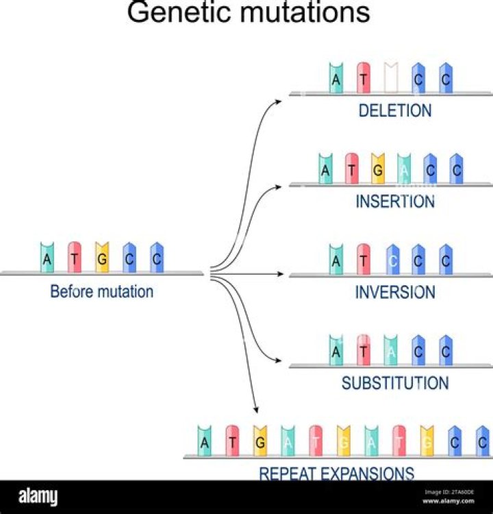 Is gene duplication a mutation?