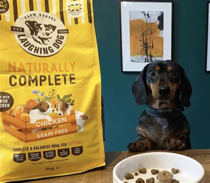 Is grain free food good for puppies?