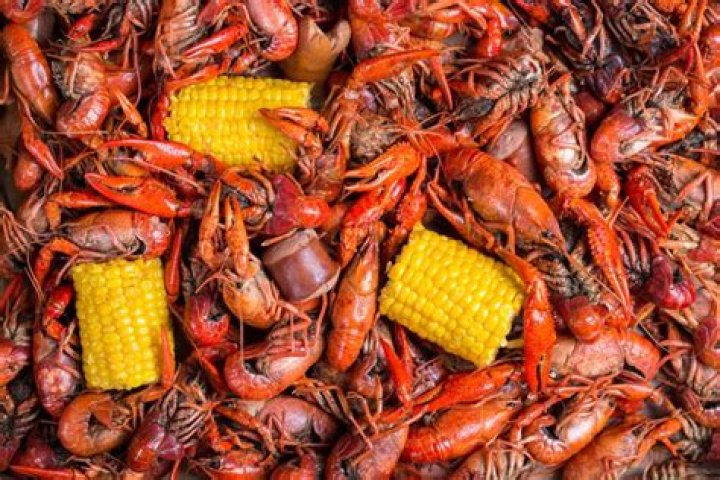 Is it OK to eat crawfish while breastfeeding