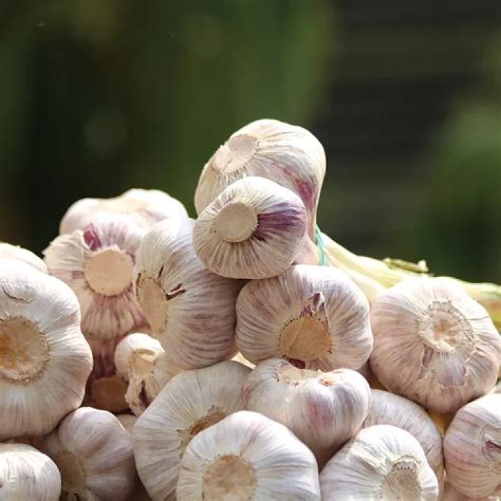 Is it safe to eat garlic from China