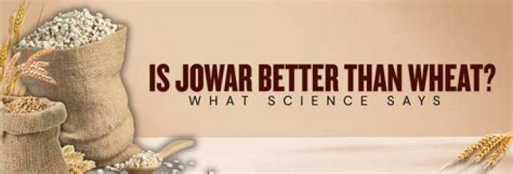 Is Jowar better than wheat?