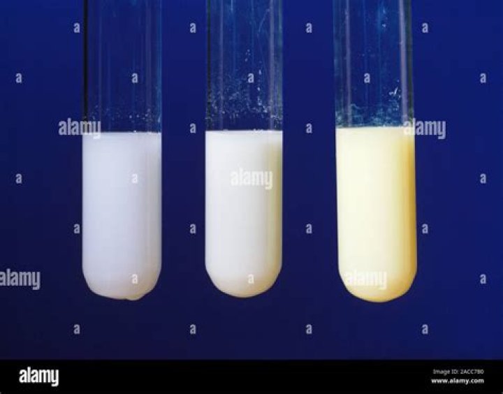 Is Lead II bromide soluble in water