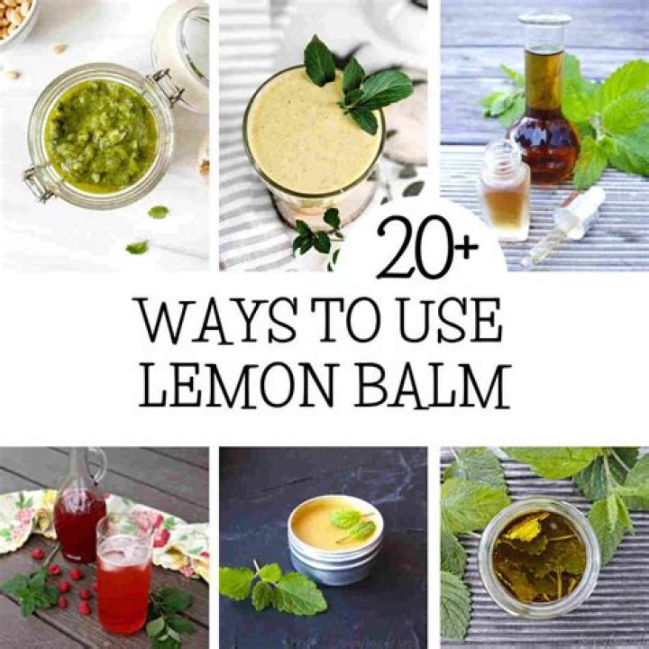 Is Lemon balm healthy? | ContextResponse.com
