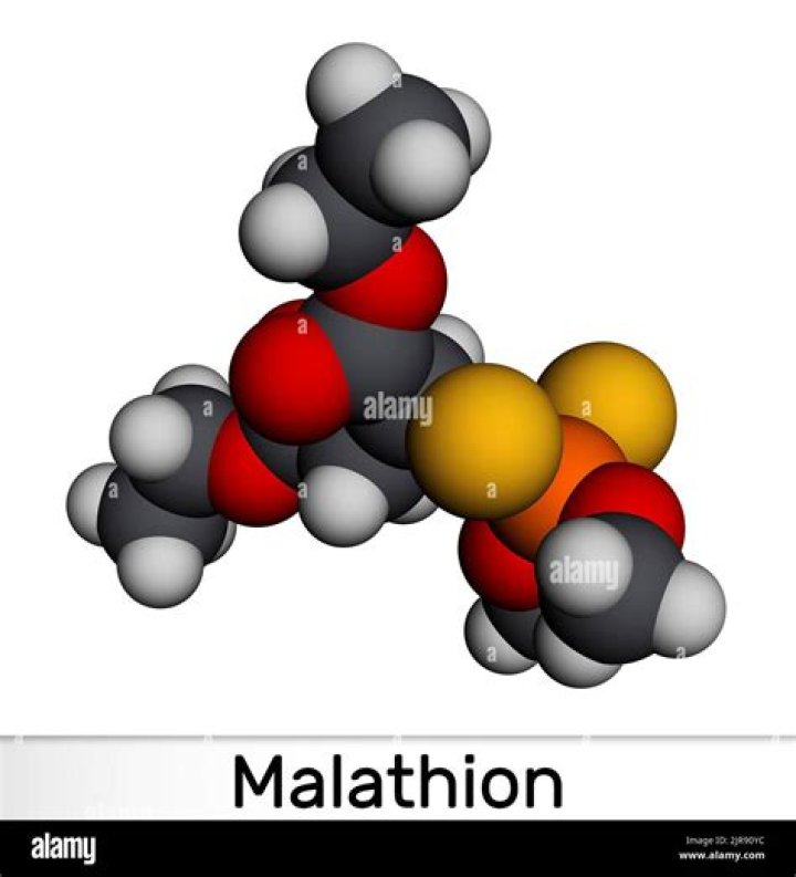 Is malathion good for lice?