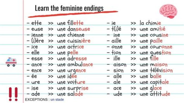Is Oiseau masculine or feminine?