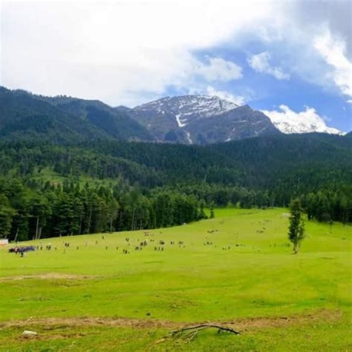 Is Pahalgam better or Gulmarg?